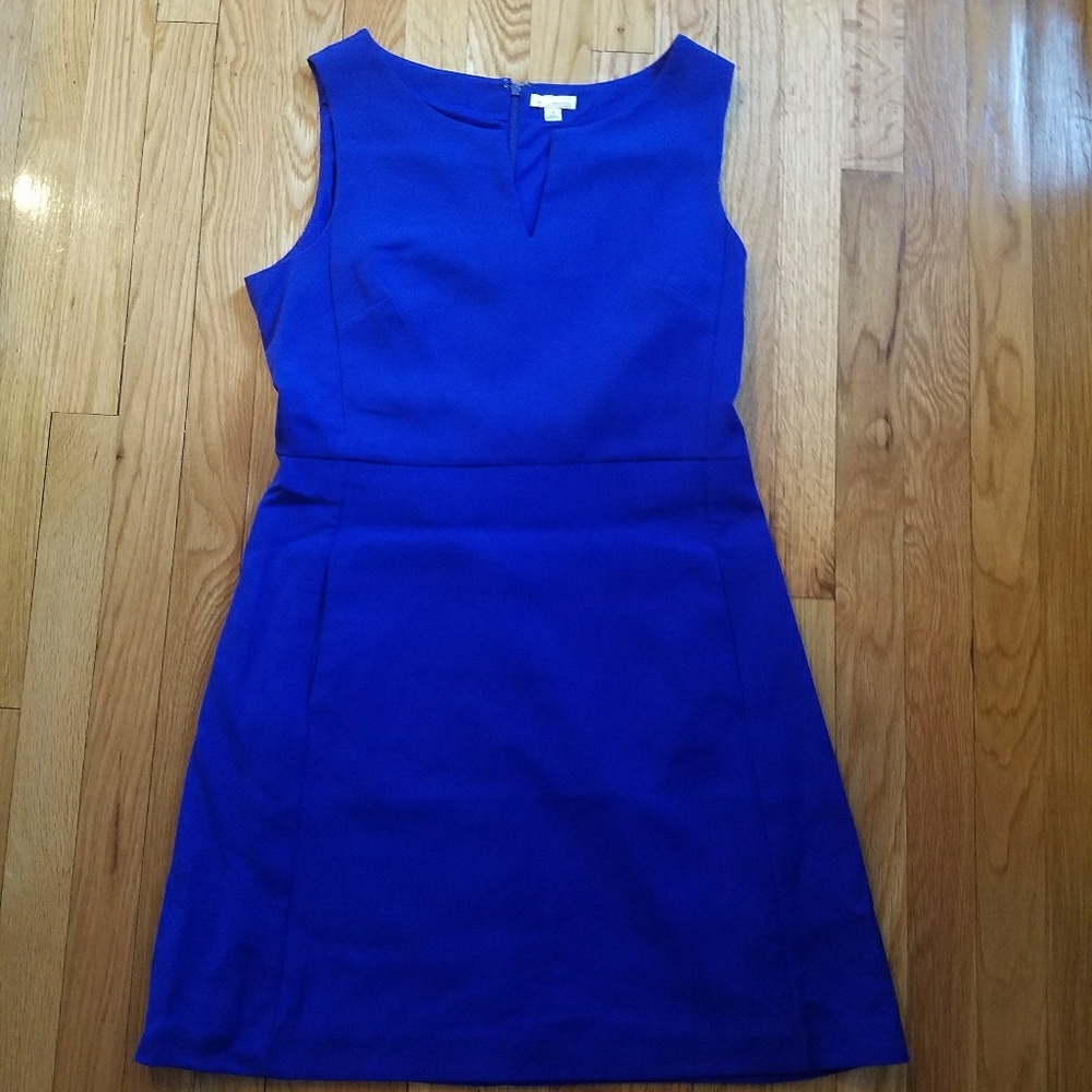 Gap cotton royal blue dress. Sz 10.